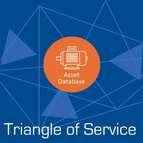 Lessons on the Triangle of Service